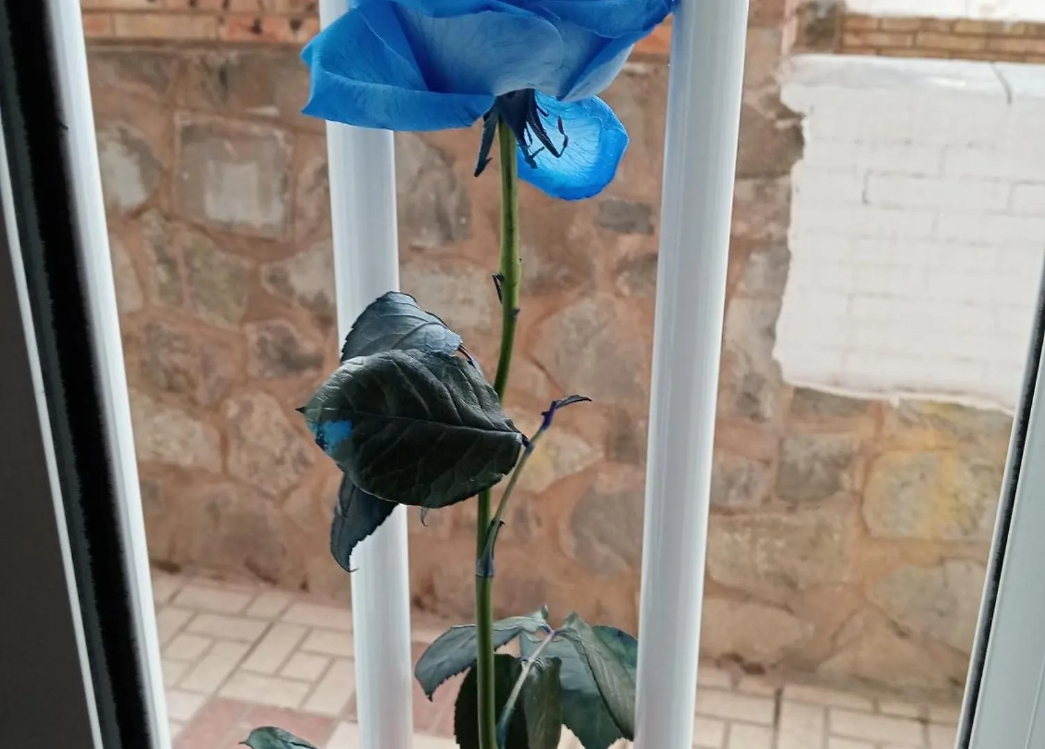 דירה מאלגה Apartamento Pequenito